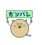 まる丸の、丸い生活（個別スタンプ：16）