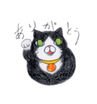 色鉛筆de招き猫（個別スタンプ：1）