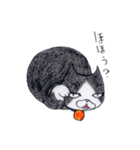 色鉛筆de招き猫（個別スタンプ：10）