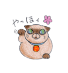 色鉛筆de招き猫（個別スタンプ：24）