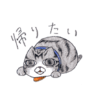 色鉛筆de招き猫（個別スタンプ：26）