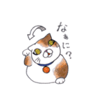 色鉛筆de招き猫（個別スタンプ：34）