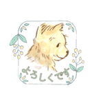 犬一家（個別スタンプ：6）