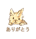 犬一家（個別スタンプ：11）