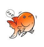 ぎょぎょ魚（個別スタンプ：5）