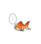 ぎょぎょ魚（個別スタンプ：7）