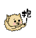 Pomeranian.（個別スタンプ：2）