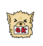 Pomeranian.（個別スタンプ：5）