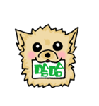 Pomeranian.（個別スタンプ：8）