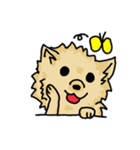 Pomeranian.（個別スタンプ：9）