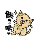 Pomeranian.（個別スタンプ：27）