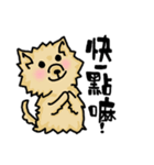 Pomeranian.（個別スタンプ：30）