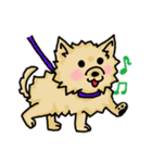 Pomeranian.（個別スタンプ：32）