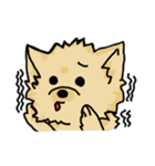 Pomeranian.（個別スタンプ：36）