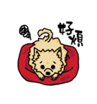 Pomeranian.（個別スタンプ：39）