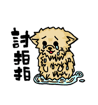 Pomeranian.（個別スタンプ：40）