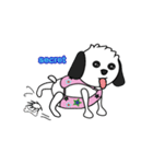 Pandydog（個別スタンプ：3）
