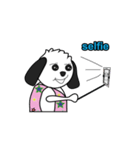 Pandydog（個別スタンプ：14）