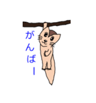 シマリススタンプ（個別スタンプ：21）