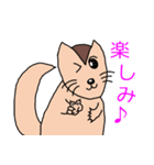 シマリススタンプ（個別スタンプ：29）