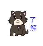 シマリススタンプ（個別スタンプ：33）