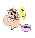 シマリススタンプ（個別スタンプ：37）