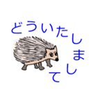 シマリススタンプ（個別スタンプ：40）