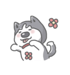 Husky's daily life（個別スタンプ：2）