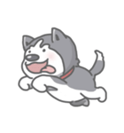 Husky's daily life（個別スタンプ：3）