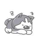 Husky's daily life（個別スタンプ：4）