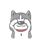 Husky's daily life（個別スタンプ：7）