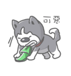 Husky's daily life（個別スタンプ：15）