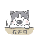 Husky's daily life（個別スタンプ：16）