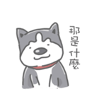 Husky's daily life（個別スタンプ：17）