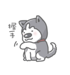 Husky's daily life（個別スタンプ：19）