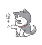 Husky's daily life（個別スタンプ：20）