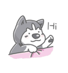 Husky's daily life（個別スタンプ：30）