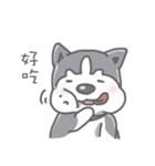 Husky's daily life（個別スタンプ：31）