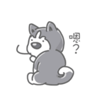 Husky's daily life（個別スタンプ：35）