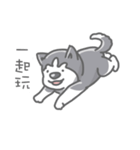 Husky's daily life（個別スタンプ：37）