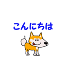日本 柴犬 マスコット（個別スタンプ：8）