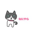 ねこのブリとブロ（個別スタンプ：1）