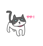 ねこのブリとブロ（個別スタンプ：3）