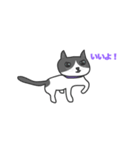 ねこのブリとブロ（個別スタンプ：6）
