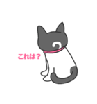 ねこのブリとブロ（個別スタンプ：17）