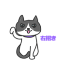ねこのブリとブロ（個別スタンプ：20）