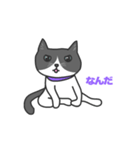 ねこのブリとブロ（個別スタンプ：24）