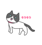 ねこのブリとブロ（個別スタンプ：35）