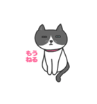 ねこのブリとブロ（個別スタンプ：37）
