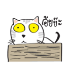 white cat in the house 2（個別スタンプ：14）